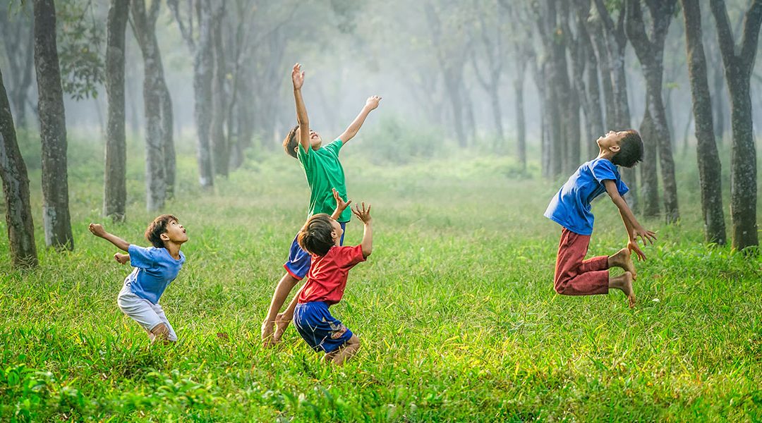Celebrating Success: How Family Mediation is Transforming Conflict Resolution – Evidence and Case Studies